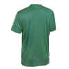 Футболка SELECT Pisa player shirt s/s Green